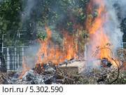 Горящая мусорная свалка (2013 год). Редакционное фото, фотограф Ислам Ижаев / Фотобанк Лори