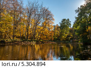 Эстония. Осенний пейзаж у реки Кейла (2013 год). Стоковое фото, фотограф Брагин Алексей Георгиевич / Фотобанк Лори
