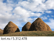Сено в стогах. Стоковое фото, фотограф Игорь Веснинов / Фотобанк Лори