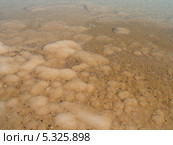 Дно Мертвого моря, Израиль (2012 год). Стоковое фото, фотограф Ирина Борсученко / Фотобанк Лори