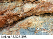 Гекконы на скалистой поверхности острова Родос, Греция (2010 год). Стоковое фото, фотограф Ирина Иванова / Фотобанк Лори