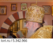 Портрет Митрополита Днепропетровского и Павлоградского Иринея (2013 год). Редакционное фото, фотограф Несинов Олег / Фотобанк Лори