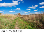 Поле и голубое небо с облаками. Стоковое фото, фотограф Алексей Попов / Фотобанк Лори