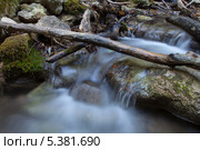 Ручей в лесу. Стоковое фото, фотограф Артем Шутов / Фотобанк Лори