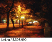 Улица г. Благовещенска (2013 год). Стоковое фото, фотограф Андрей Ершов / Фотобанк Лори