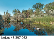 Сказочное озеро. Стоковое фото, фотограф Кирилл Путченко / Фотобанк Лори