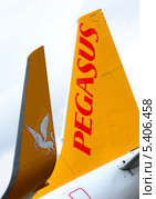 Первый рейс авиакомпании Pegasus в Домодедово. Винглет и киль Boeing 737 (бортовой TC-CPC) с символикой авиакомпании (2013 год). Редакционное фото, фотограф Alexei Tavix / Фотобанк Лори