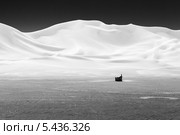 Сарай в дюнах Дюмон в Калифорнии, США (2013 год). Стоковое фото, фотограф Aleksandr Stzhalkovski / Фотобанк Лори
