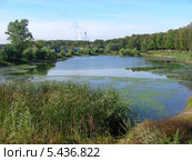 Вид на Бабаевский пруд ранней осенью, район Гольяново, Москва (2011 год). Редакционное фото, фотограф lana1501 / Фотобанк Лори