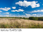 Летний пейзаж. Поле и голубое небо с облаками. Стоковое фото, фотограф Алексей Попов / Фотобанк Лори
