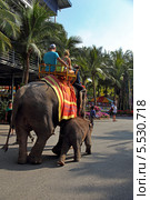 Катание туристов на слонах. Тропический парк Нонг Нуч (Nong Nooch Tropical Garden), Королевство Таиланд (2013 год). Редакционное фото, фотограф Григорий Писоцкий / Фотобанк Лори