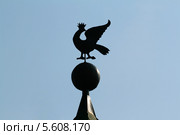 Символ Суздаля (2009 год). Стоковое фото, фотограф Борис Заманский / Фотобанк Лори