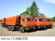 Грузовики КамАЗ-65115 (2008 год). Редакционное фото, фотограф Art Konovalov / Фотобанк Лори
