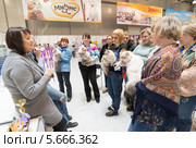 Международная выставка  кошек "Кэтсбург" в Крокус Экспо, Москва (2014 год). Редакционное фото, фотограф Володина Ольга / Фотобанк Лори