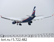 Airbus A330 (бортовой VP-BLY) авиакомпании "Аэрофлот" на посадке в Шереметьеве (2014 год). Редакционное фото, фотограф Alexei Tavix / Фотобанк Лори
