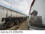 Загрузка молока в молоковоз. Стоковое фото, фотограф Losevsky Pavel / Фотобанк Лори