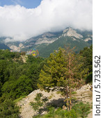 Крым, Ялтинский зоопарк (2012 год). Редакционное фото, фотограф ИВА Афонская / Фотобанк Лори