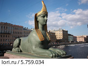 Сфинкс (2009 год). Стоковое фото, фотограф Нина Лопатина / Фотобанк Лори