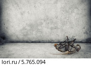 Дохлая муха на сером бетонном полу. Стоковое фото, фотограф Александр Лычагин / Фотобанк Лори