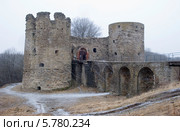 Крепость Копорье. Ленинградская область (2014 год). Стоковое фото, фотограф Александр Щепин / Фотобанк Лори
