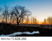 Провожающий день. Стоковое фото, фотограф Андрей Малышкин / Фотобанк Лори