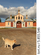 Кошка на фоне ворот Важозерского монастыря (2012 год). Стоковое фото, фотограф Самохвалов Артем / Фотобанк Лори