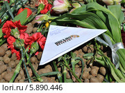 Письмо ветерану, Театральная площадь, День Победы,  9 Мая 2014, Москва. Редакционное фото, фотограф lana1501 / Фотобанк Лори
