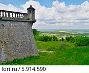 Подгорецкий замок, Львовская область, Украина (2012 год). Стоковое фото, фотограф Эдуард Кислинский / Фотобанк Лори