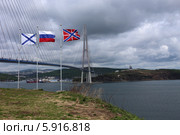 Вид на Русский мост с мыса Новосильского (2014 год). Стоковое фото, фотограф Алексей Гусев / Фотобанк Лори