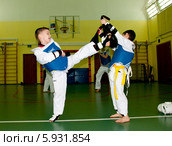 Спортсмен отрабатывает удар тхэквондо (2014 год). Редакционное фото, фотограф Куликова Вероника / Фотобанк Лори