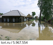Паводок на Алтае. Уровень реки воды достиг максимума 711 см. Бийск. Алтайский край (01.06.2014) Стоковое фото, фотограф Chere / Фотобанк Лори