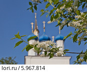 Боровск. Ветви цветущей черёмухи на фона неба и куполов Благовещенского собора (2014 год). Стоковое фото, фотограф Алексей Шаповалов (Стерх) / Фотобанк Лори