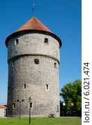 Башня Кик-ин-де-Кёк в Таллине (2014 год). Стоковое фото, фотограф Виктор Карасев / Фотобанк Лори