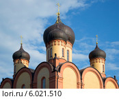 Купола  Успенского собора. Пюхтицкий Успенский Ставропигиальный женский монастырь (2014 год). Стоковое фото, фотограф Виктор Карасев / Фотобанк Лори