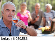 Group of seniors having picnic. Стоковое фото, фотограф Phovoir Images / Фотобанк Лори