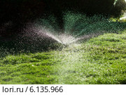 Брызги воды из распылителя над травой. Стоковое фото, фотограф Владимир Сурков / Фотобанк Лори