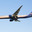 Самолет Боинг-777-300ER авиакомпании "Аэрофлот" снижается перед посадкой в аэропорту Шереметьево (2014 год). Редакционное фото, фотограф Александр Фрейдин / Фотобанк Лори