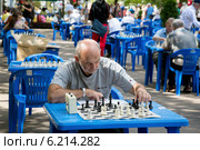 Первенство по шахматам среди любителей в рамках спортивного фестиваля Moscow City Games в Лужниках города Москвы (2014 год). Редакционное фото, фотограф Николай Винокуров / Фотобанк Лори