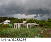 Огородные грядки и теплица на фоне грозового неба. Стоковое фото, фотограф Александра Васильева / Фотобанк Лори
