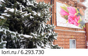 Поздний снег (2014 год). Редакционное фото, фотограф Нурлан Султанов / Фотобанк Лори