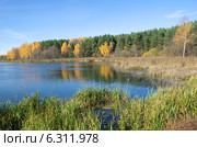 Река Скорогодайка осенью. Стоковое фото, фотограф Елена Коромыслова / Фотобанк Лори