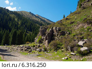 Горный пейзаж. Григорьевское ущелье, Киргизия (2014 год). Стоковое фото, фотограф Elena Odareeva / Фотобанк Лори