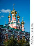 Вознесенско-Феодосиевская церковь (2014 год). Стоковое фото, фотограф Елена Корепанова / Фотобанк Лори