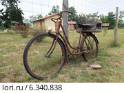 Rusty old bike. Стоковое фото, фотограф Phovoir Images / Фотобанк Лори