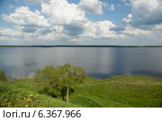 Торопец. Одинокое дерево на берегу озера Соломенное (2011 год). Стоковое фото, фотограф Александр Антонников / Фотобанк Лори