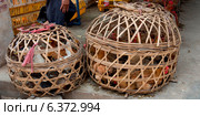 Yangshuo, Guilin, Guangxi, China. Стоковое фото, агентство Ingram Publishing / Фотобанк Лори