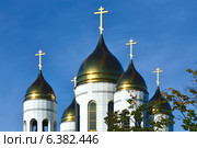 Храм Христа Спасителя. Калининград (до 1946 года Кёнигсберг), Россия (2012 год). Стоковое фото, фотограф Сергей Трофименко / Фотобанк Лори