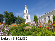 Великий Новгород. Цветы Юрьева монастыря в солнечный день (2014 год). Стоковое фото, фотограф FotograFF / Фотобанк Лори