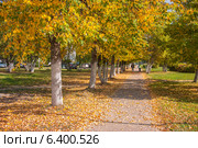Дети, идущие по дорожке ярким осенним днём. Стоковое фото, фотограф Александр Каргаполов / Фотобанк Лори