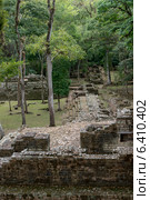 Ruins at an archaeological site, Copan, Copan Ruinas, Copan Department, Honduras (2013 год). Стоковое фото, агентство Ingram Publishing / Фотобанк Лори